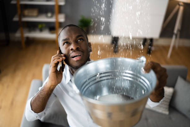 Best Flood damage cleanup  in Louisa, VA
