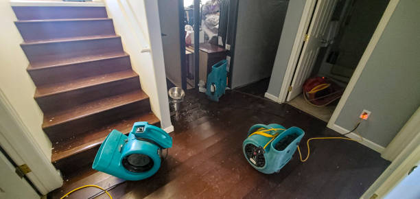 Best Local water damage restoration  in Louisa, VA