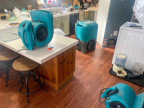 Best Professional water damage repair  in Louisa, VA