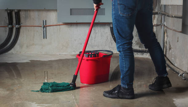 Best Basement water damage restoration  in Louisa, VA