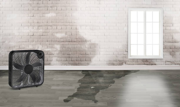Best Water damage restoration insurance claims  in Louisa, VA