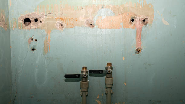 Best Ceiling water damage repair  in Louisa, VA