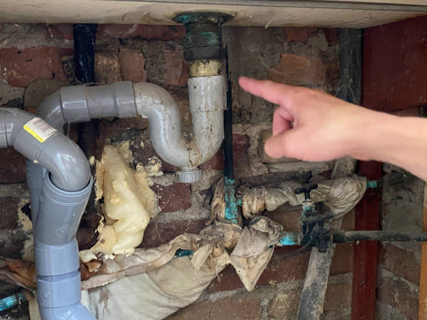 Best Ceiling water damage repair  in Louisa, VA