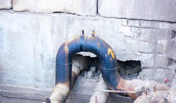 Best Water damage cleanup near me  in Louisa, VA
