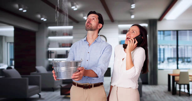 Best Fire Damage Restoration  in Louisa, VA