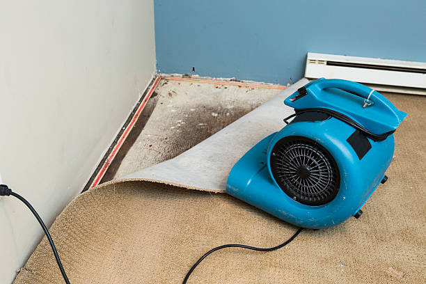Best 24-hour water damage restoration  in Louisa, VA