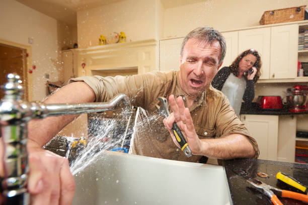 Best Carpet water damage restoration  in Louisa, VA